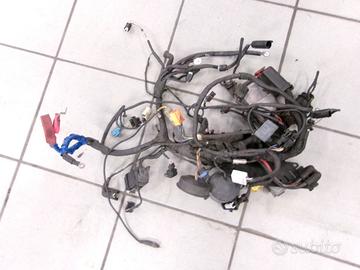 IMPIANTO ELETTRICO BMW F 650 CS SCARVER