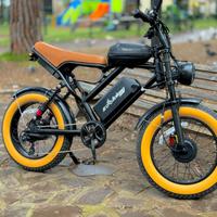 Bici elettrica per pneumatici grassi S8-Dual da 20