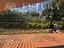 Immagine 19