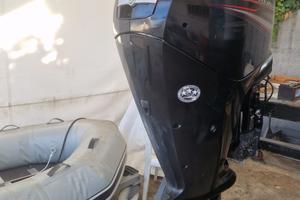 MERCURY F80 HP EFI 2019
