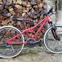 Bicicletta Junior SCOTT SCALE 24' usata