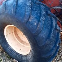 Mietitrebbia Laverda M84