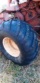 Mietitrebbia Laverda M84