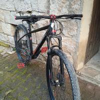 bicicletta Mountain bike 