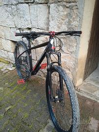bicicletta Mountain bike 