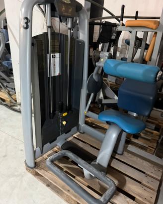 Back extension,rotary torso Technogym