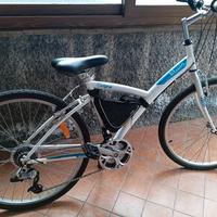 Bici da passeggio 