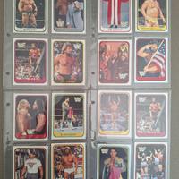 Lotto 65 Cards Wrestling WWF 1991 Merlin Vers.ITA