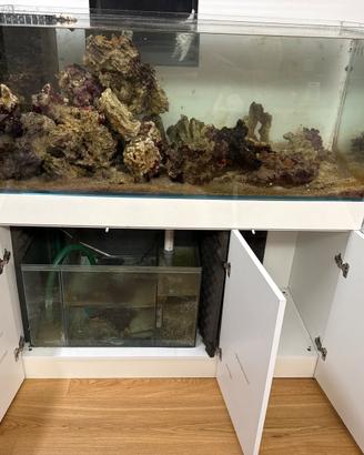 Acquario amtra 300 litri