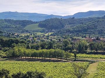 Oliveto in Arezzo, pressi Bagnoro