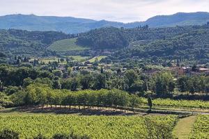 Oliveto in Arezzo, pressi Bagnoro