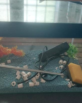 Acquario in vetro  con accessori