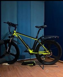 Bici elettrica
