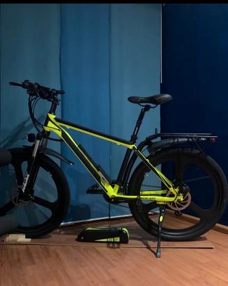 Bici elettrica