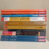 Libri 1-2-3-4-5 liceo scientifico(CLIL) Grigoletti
