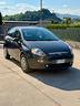 fiat-punto-1-2-8v-5-porte-street