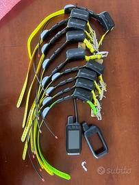Radiocollari + palmare Garmin