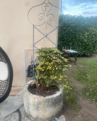 vasca  in pietra