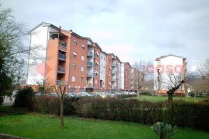 Appartamento Campi Bisenzio [COLOMBANDVRG] (Capall