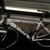 Bici corsa donna
