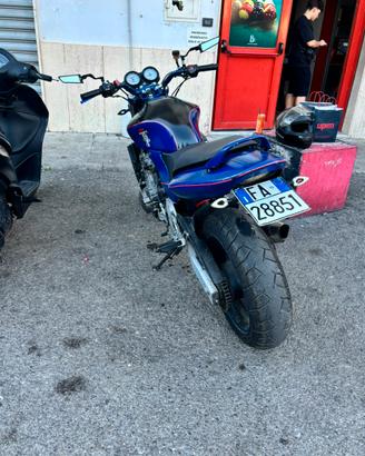 HONDA HORNET 600