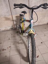 Bicicletta Alpina da bambino 