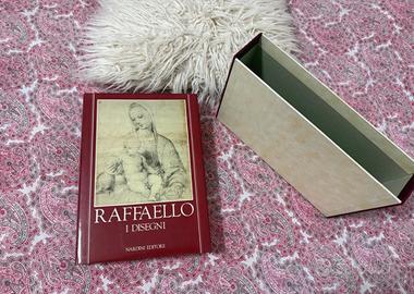 Libro d’arte  Raffaelo i disegni