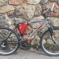 RAMPICHINO JUMPERTREK