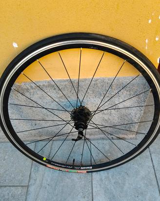 ruote bici