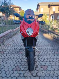 MV Turismo veloce 800