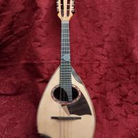 mandolino Mazzaccara