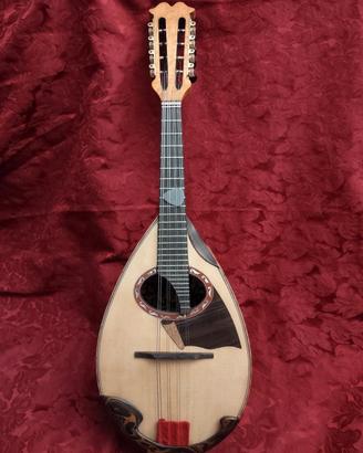 mandolino Mazzaccara