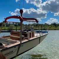 Boston Whaler 22