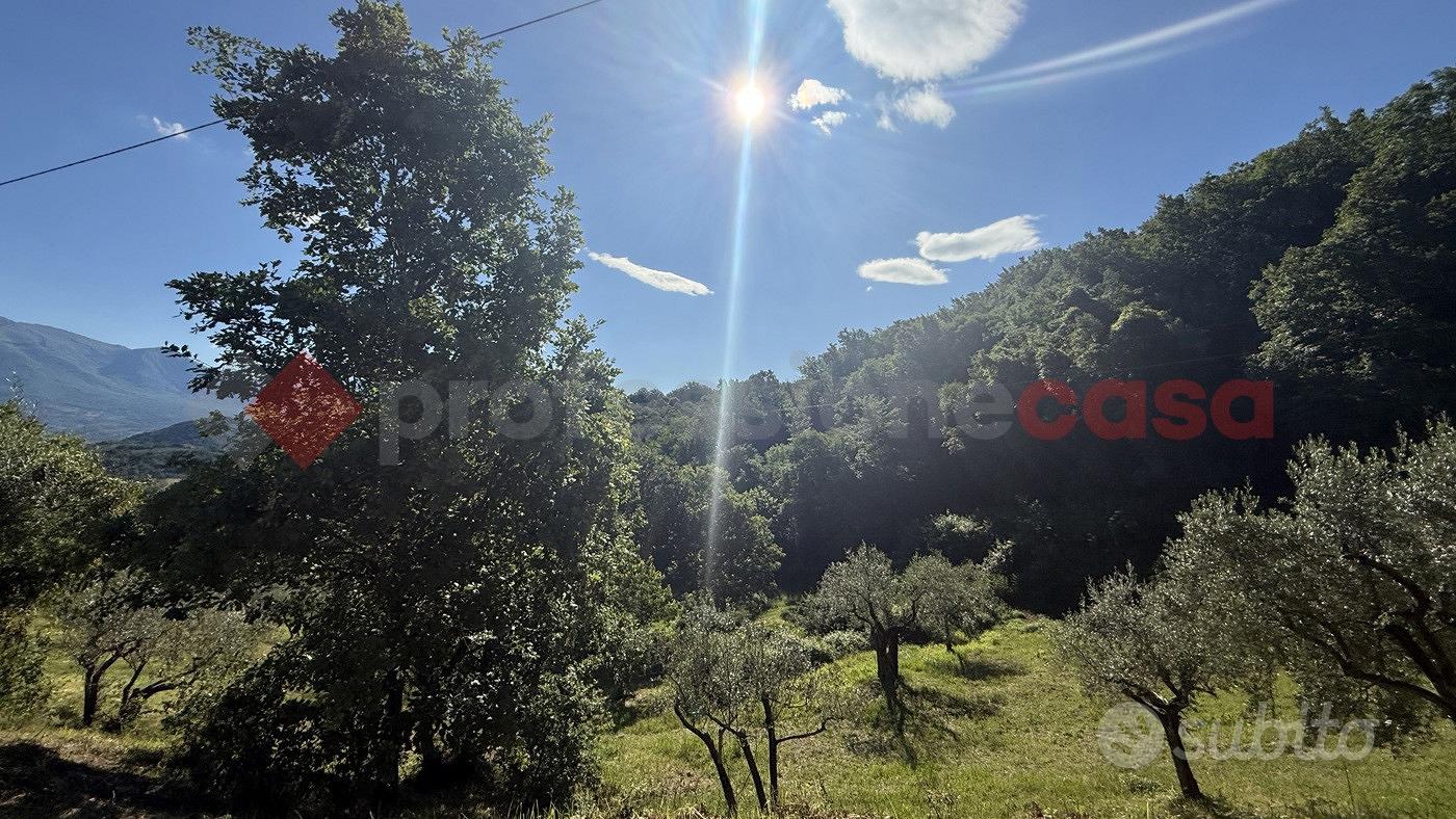 Terreno Agricolo Fumone [Cod. rif 3318314VRG] - More