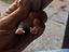Immagine 6