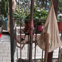 canna da pesca Daiwa con mulinello 