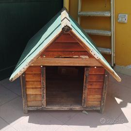 cuccia per cani