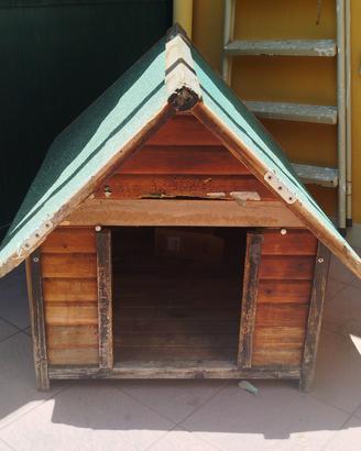 cuccia per cani