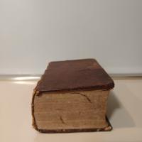 Meditazioni sui Vangeli domenicali