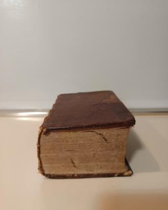 Meditazioni sui Vangeli domenicali