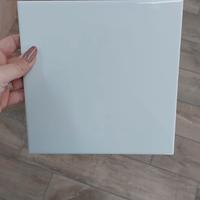PIASTRELLE 20X20 BIANCO LUCIDO