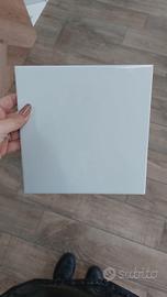 PIASTRELLE 20X20 BIANCO LUCIDO