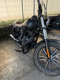 Dyna Street bob