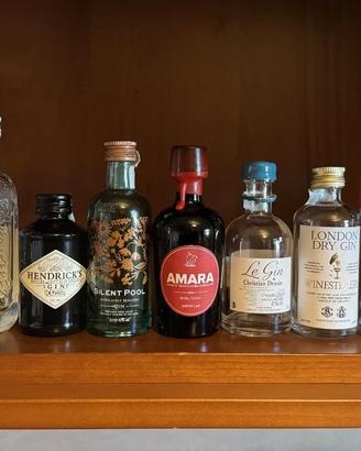 Lotto Bottiglie Mignon Liquori e Gin