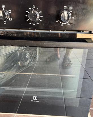 Forno rex da incasso standard
