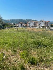 Lotti terreno edificabile comune Castelplanio
