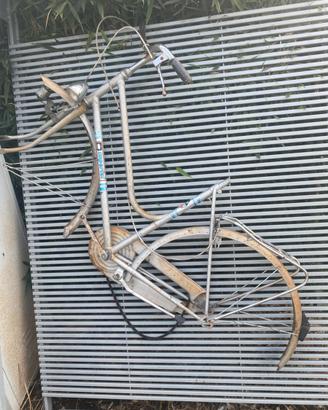 Imperial bicicletta donna