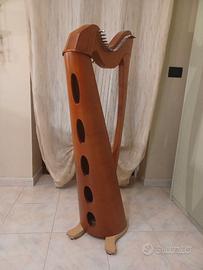 Arpa celtica Salvi