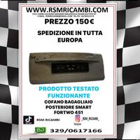 BAGAGLIAIO POSTERIORE SMART 451