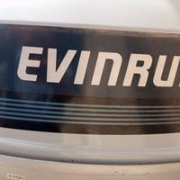 Evinrude 25